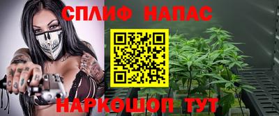 прущие грибы Пушкино