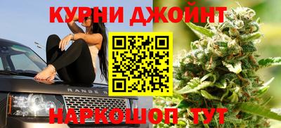 прущие грибы Пушкино