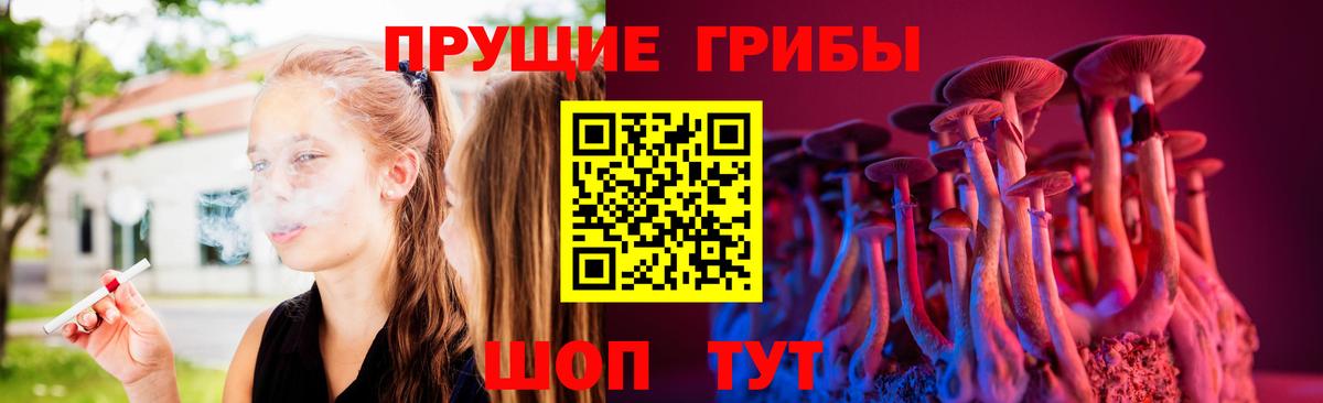 Балашиха  Псилоцибиновые грибы прущие грибы  Вход с VPN 